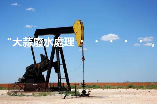 “大蒜廢水處理，綠色環(huán)保新篇章”